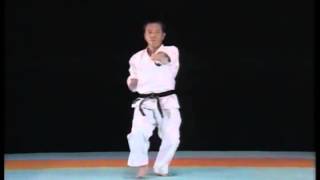 鎮東 Chinto kata  Wadoryu [upl. by Pros]