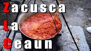 Zacusca La Ceaun [upl. by Innep417]