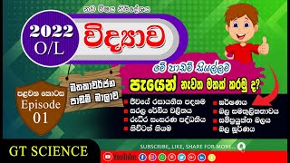 How To Memorize Fast OL Science Lessons in Sinhala 2020 NEW  Science Short Notes  G T Science [upl. by Zobe]