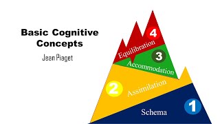 Basic Cognitive Concepts Schema Assimilation Accommodation Equilibration [upl. by Oberg]