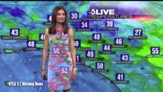 Meteorologist suffers hilarious green screen fashion fail  but news anchor comes to the rescue [upl. by Athalia]