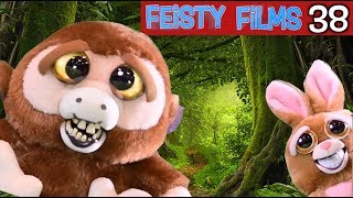 Feisty Films Ep 38 The Constipated Ape [upl. by Edith]