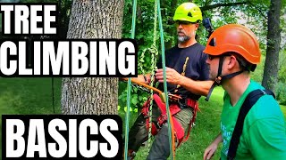 Tree Climbing Basics What Equipment Do I Need To Climb a Tree  Basic Gear  Stan Dirt Monkey [upl. by Einwat]