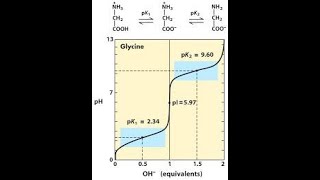 Amino Acid Titration Curve Part 1 [upl. by Tallula]