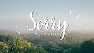 Justin Bieber  Sorry [upl. by Imotas255]