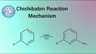 Chichibabin Reaction Mechanism  Organic Chemistry [upl. by Geordie]