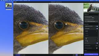 Topaz Photo AI Quick Start Video [upl. by Donelu]