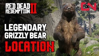 Red Dead Redemption 2  Legendary Grizzly Bear Location [upl. by Tandy]