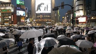 4K・ Rainy night at Tokyo Shibuya [upl. by Ayhay]