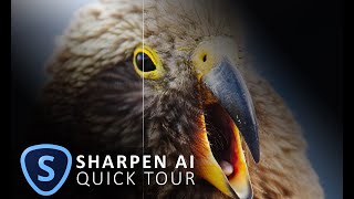 How to use Topaz Sharpen AI [upl. by Baudin]