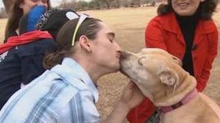 Lost dog reunited with owners after 3 years [upl. by Chemush]