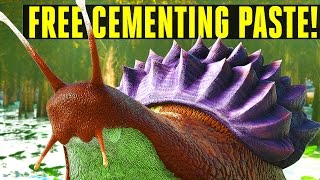 INFINITE CEMENTING PASTE SNAIL How to tameEverything you need to know Ark Survival Evolved 252 [upl. by Jenks871]