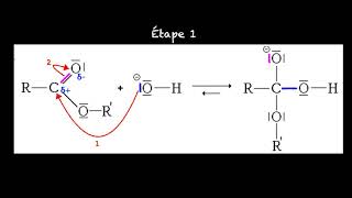 Mécanisme réactionnel [upl. by Ylebmik]