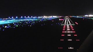 Windy Night Landing  Cockpit 737 FullHD [upl. by Crosley604]