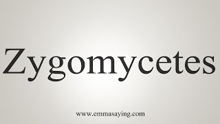 How To Say Zygomycetes [upl. by Noslrac523]