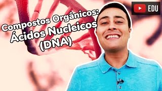 Ãcidos Nucleicos  DNA  Prof Paulo Jubilut [upl. by Lampert]