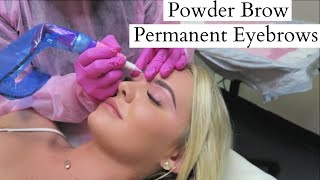 TATTOOED EYEBROWS quotPowder Browquot Experience Before amp After  ARTFUL BEAUTY [upl. by Mcgraw81]