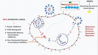 AIDS  Antiretroviral Drugs Treatment [upl. by Mighell]