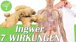 Schau welche 7 Wirkungen INGWER auf Deine Gesundheit hat [upl. by Tennes953]