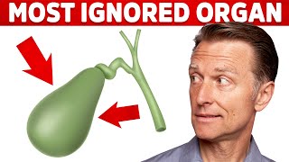 The Gallbladder the Most Ignored Organ – DrBerg on Gallbladder Problems [upl. by Thorner]