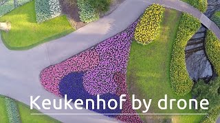 Keukenhof The Worlds Biggest Flower Garden Filmed With A Drone [upl. by Ogden]