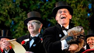 Groundhog Day explained  in 60 seconds [upl. by Alliscirp]