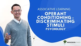 Operant Conditioning and Discriminating Stimuli [upl. by Drhcir]