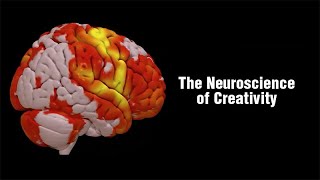 The Neuroscience of Creativity [upl. by Cardon]