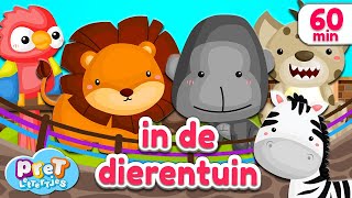 Pretlettertjes • Dierengeluiden in de Dierentuin • 60 min Special [upl. by Adnilrem666]