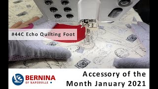 BERNINA Echo Quilting and CutWork Foot 44C [upl. by Enilrae]