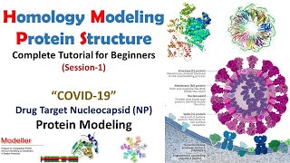 Homology Modeling for Beginners  COVID19 NP Protein Modeling Modeller Tutorial  Bioinformatics [upl. by Moguel65]