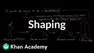 Operant conditioning Shaping  Behavior  MCAT  Khan Academy [upl. by Heddi61]