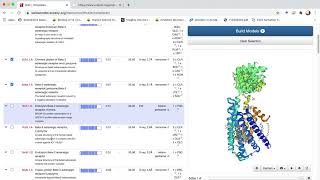 Homology modelling using SWISSMODEL web server [upl. by Rocher]