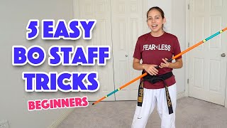 Easy Bo Staff Tricks for Beginners  Taekwondo Karate Martial Arts [upl. by Aelahs]