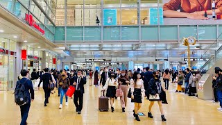 【4K】Japan Walking Tour  Explore The Inside of Nagoya Station ASMR [upl. by Kenna]