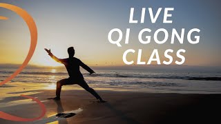 20Minute Live Qi Gong Class with Lee Holden [upl. by Sivert]