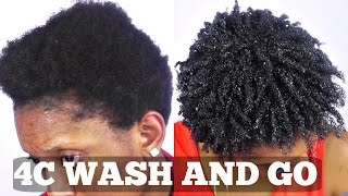 Wash and Go Short Natural 4C Hair Tutorial [upl. by Bevus877]