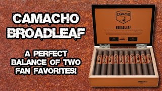 FIRST TAKE CAMACHOS NEW BROADLEAF CIGAR [upl. by Barker168]