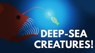 How Did DeepSea Creatures Evolve To Look So Scary [upl. by Abibah]