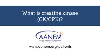 What is creatine kinase [upl. by Ailedo]