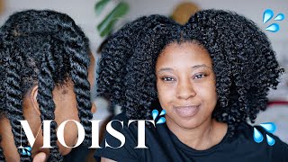 Moisturise DRY Natural Hair In 4 Easy Steps 🔢 Detailed wProduct Recommendations [upl. by Anahahs]