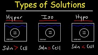 Hypertonic Hypotonic and Isotonic Solutions [upl. by Elletnuahs350]