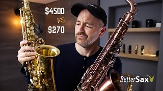 Cheapest Sax on Amazon VS My Professional Alto Saxophone [upl. by Enale563]