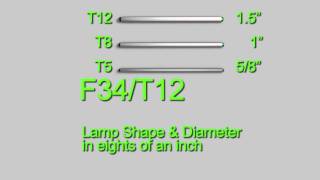 Choosing Fluorescent Tubes  T12 Example [upl. by Dwyer]