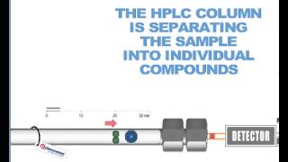 How HPLC Columns Work [upl. by Desiree]