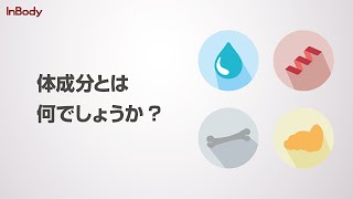 測定前の注意事項【インボディ・ジャパン】 [upl. by Tedie]