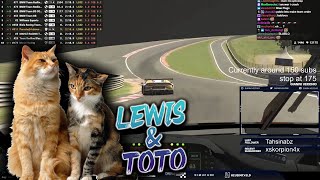 Max Verstappen Calls His Cats Lewis And Toto [upl. by Ricarda]