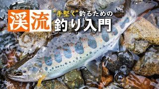 【手堅く釣る！】渓流釣り入門。仕掛けや道具、流し方を解説！ [upl. by Tuppeny]