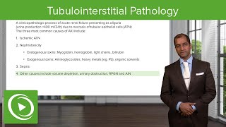 Tubulointerstitial Pathology – NephrologyFoundations  Lecturio [upl. by Brawley168]