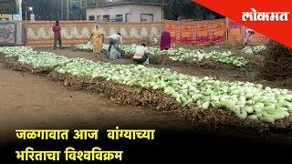 Today Jalgaon sets a world record in making  Baingan Bharta Made from Egg Plant  Lokmat News [upl. by Marinna]